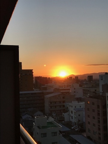 IMG_2086.JPG aya.JPG